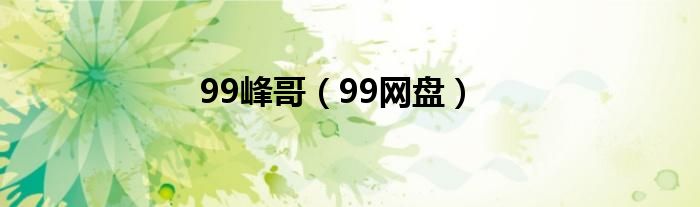 99峰哥（99网盘）