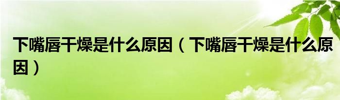 下嘴唇干燥是什么原因（下嘴唇干燥是什么原因）