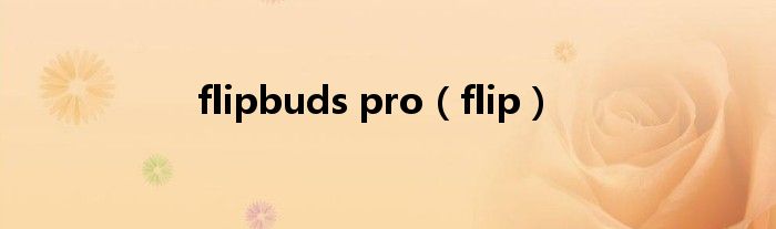 flipbuds pro（flip）