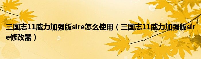 三国志11威力加强版sire怎么使用（三国志11威力加强版sire修改器）