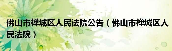 佛山市禅城区人民法院公告（佛山市禅城区人民法院）