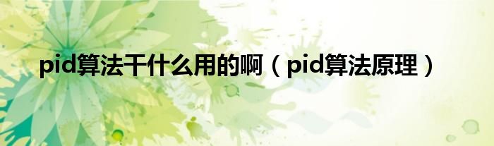 pid算法干什么用的啊（pid算法原理）