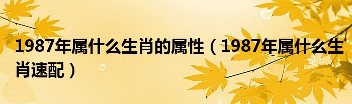 1987年属什么生肖的属性（1987年属什么生肖速配）