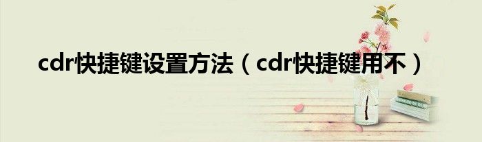 cdr快捷键设置方法（cdr快捷键用不）