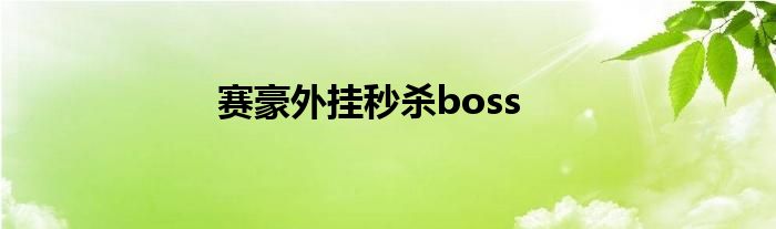 赛豪外挂秒杀boss