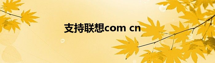 支持联想com cn