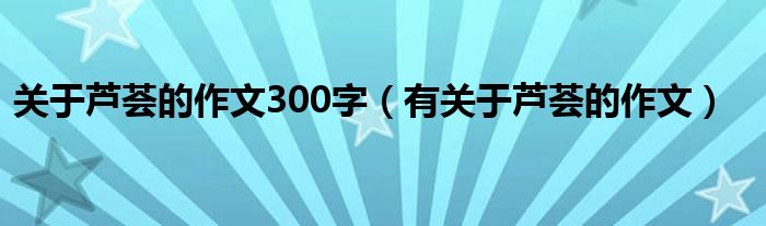 关于芦荟的作文300字（有关于芦荟的作文）