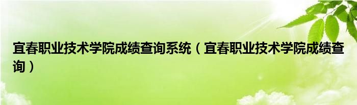 宜春职业技术学院成绩查询系统（宜春职业技术学院成绩查询）