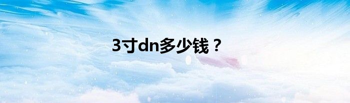 3寸dn多少钱？