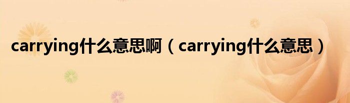 carrying什么意思啊（carrying什么意思）