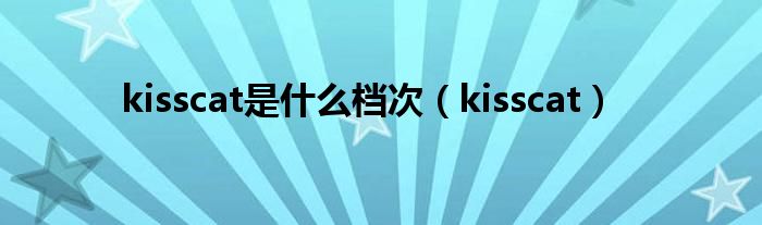 kisscat是什么档次（kisscat）