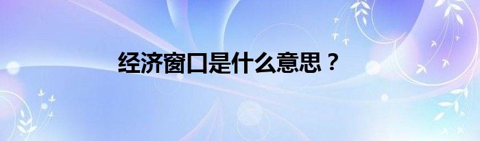 经济窗口是什么意思？