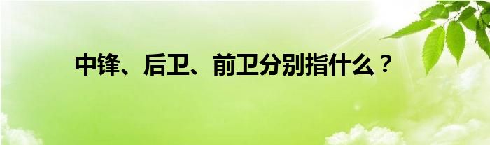 中锋、后卫、前卫分别指什么？