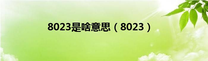 8023是啥意思（8023）