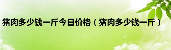 猪肉多少钱一斤今日价格（猪肉多少钱一斤）