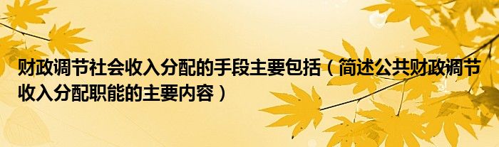 财政调节社会收入分配的手段主要包括（简述公共财政调节收入分配职能的主要内容）