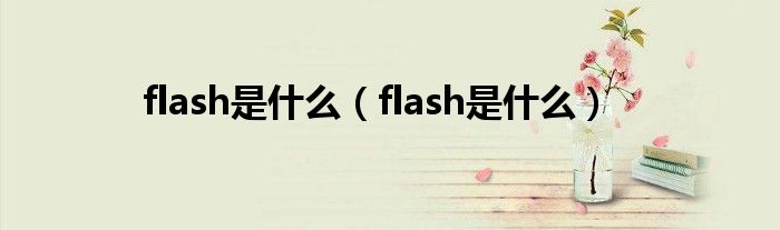 flash是什么（flash是什么）