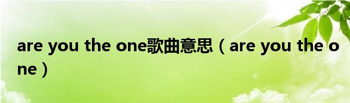 are you the one歌曲意思（are you the one）