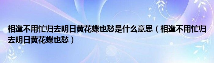 相逢不用忙归去明日黄花蝶也愁是什么意思（相逢不用忙归去明日黄花蝶也愁）