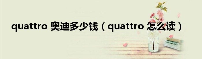 quattro 奥迪多少钱（quattro 怎么读）