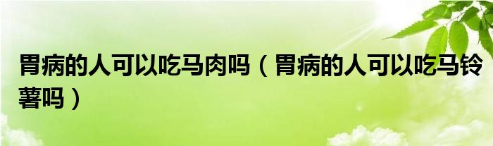 胃病的人可以吃马肉吗（胃病的人可以吃马铃薯吗）