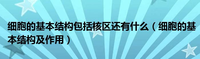 细胞的基本结构包括核区还有什么（细胞的基本结构及作用）