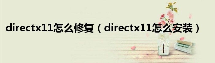 directx11怎么修复（directx11怎么安装）