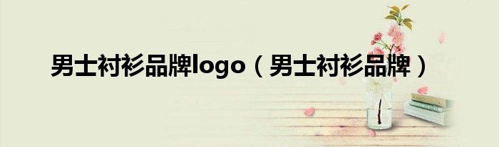 男士衬衫品牌logo（男士衬衫品牌）