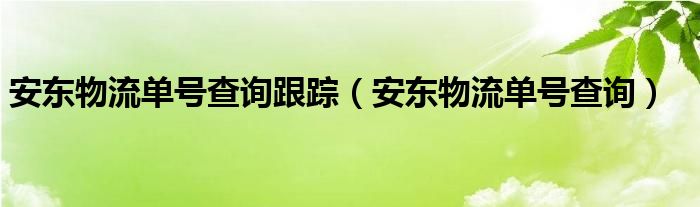 安东物流单号查询跟踪（安东物流单号查询）