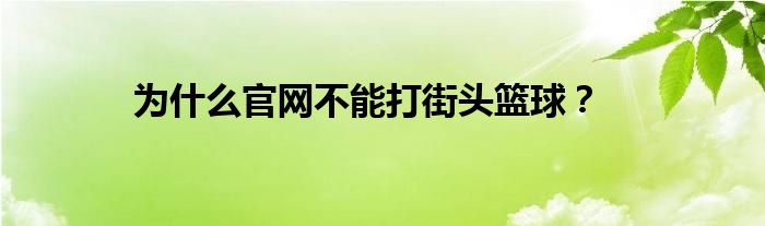 为什么官网不能打街头篮球？