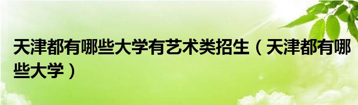 天津都有哪些大学有艺术类招生（天津都有哪些大学）