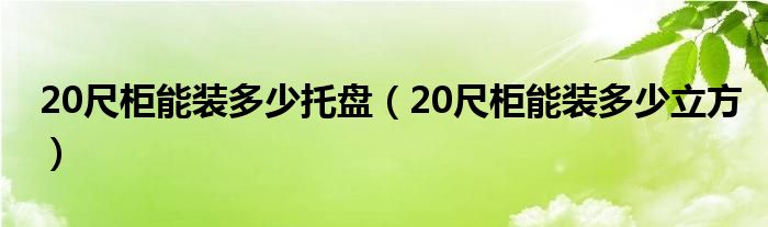 20尺柜能装多少托盘（20尺柜能装多少立方）