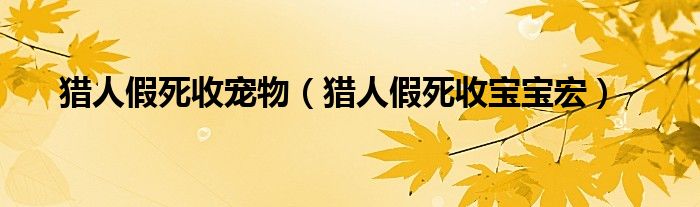 猎人假死收宠物（猎人假死收宝宝宏）