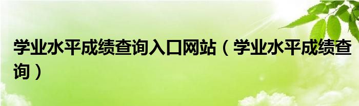 学业水平成绩查询入口网站（学业水平成绩查询）