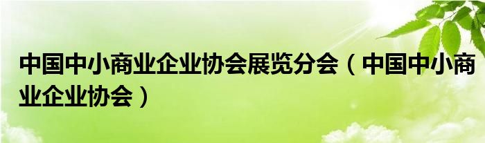 中国中小商业企业协会展览分会（中国中小商业企业协会）