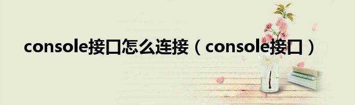 console接口怎么连接（console接口）