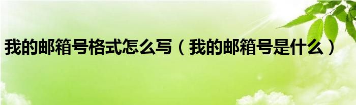 我的邮箱号格式怎么写（我的邮箱号是什么）