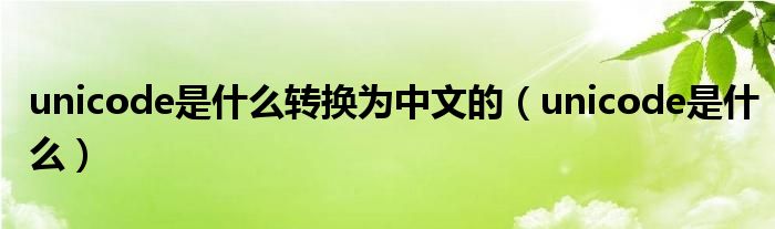 unicode是什么转换为中文的（unicode是什么）