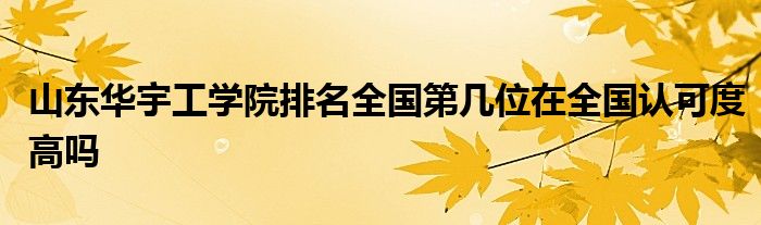 山东华宇工学院排名全国第几位在全国认可度高吗