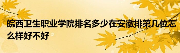 皖西卫生职业学院排名多少在安徽排第几位怎么样好不好