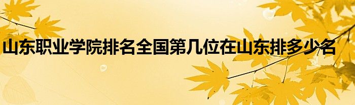 山东职业学院排名全国第几位在山东排多少名