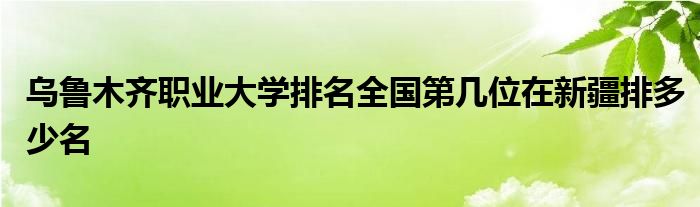 乌鲁木齐职业大学排名全国第几位在新疆排多少名