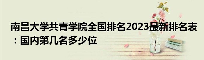 南昌大学共青学院全国排名2023最新排名表：国内第几名多少位