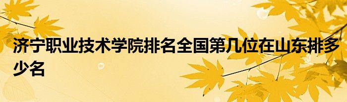 济宁职业技术学院排名全国第几位在山东排多少名