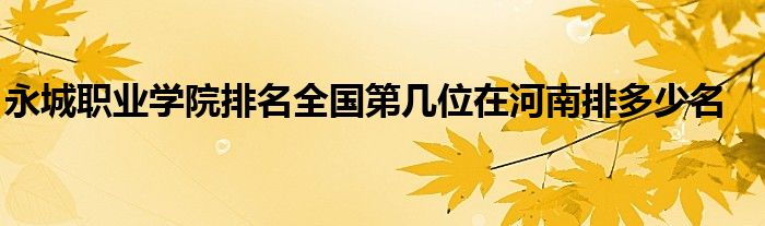 永城职业学院排名全国第几位在河南排多少名