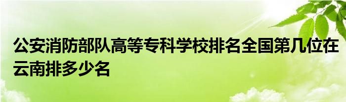 公安消防部队高等专科学校排名全国第几位在云南排多少名