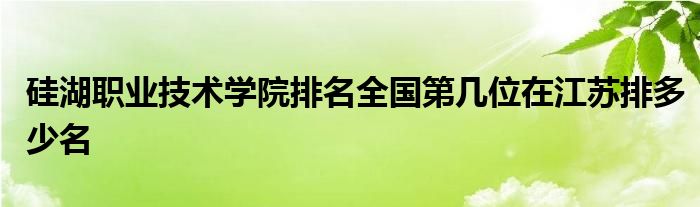 硅湖职业技术学院排名全国第几位在江苏排多少名