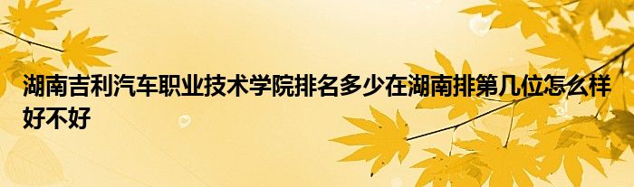 湖南吉利汽车职业技术学院排名多少在湖南排第几位怎么样好不好