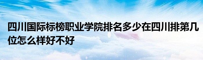 四川国际标榜职业学院排名多少在四川排第几位怎么样好不好