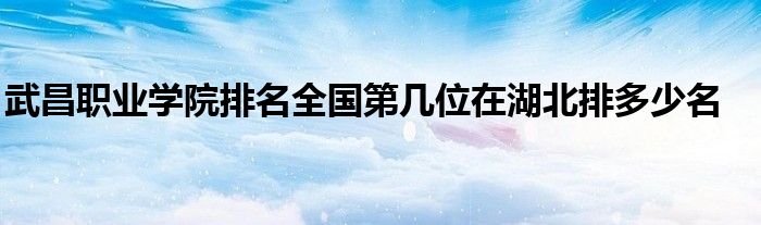 武昌职业学院排名全国第几位在湖北排多少名